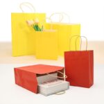 Custom Kraft Paper Shopping Gift Bags with Handle
